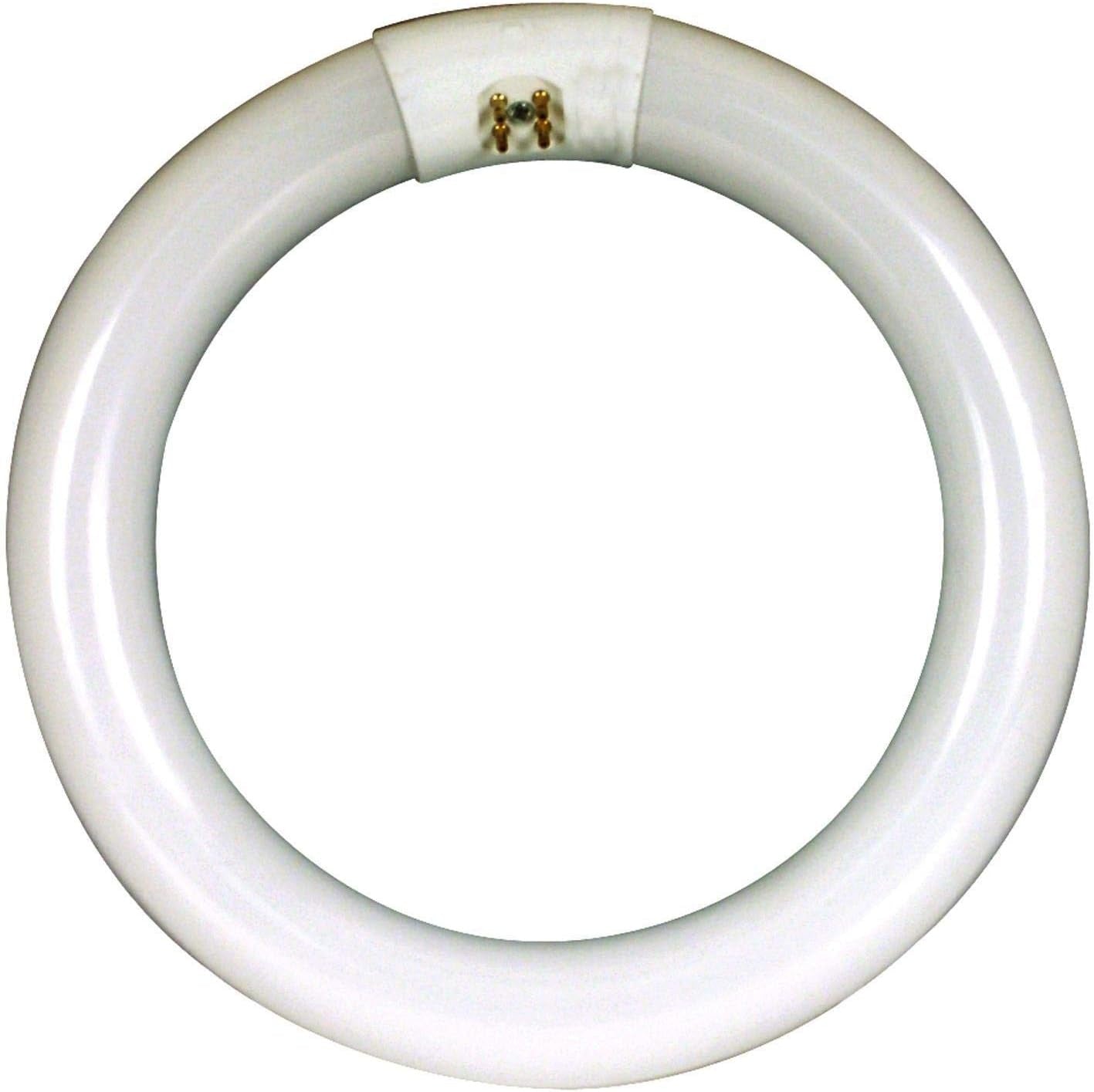 FEIT ELECTRIC Feit Electric FC12T9/CW Circuline Fluorescent 32 Watt (1 Pack) FC12T9/CW