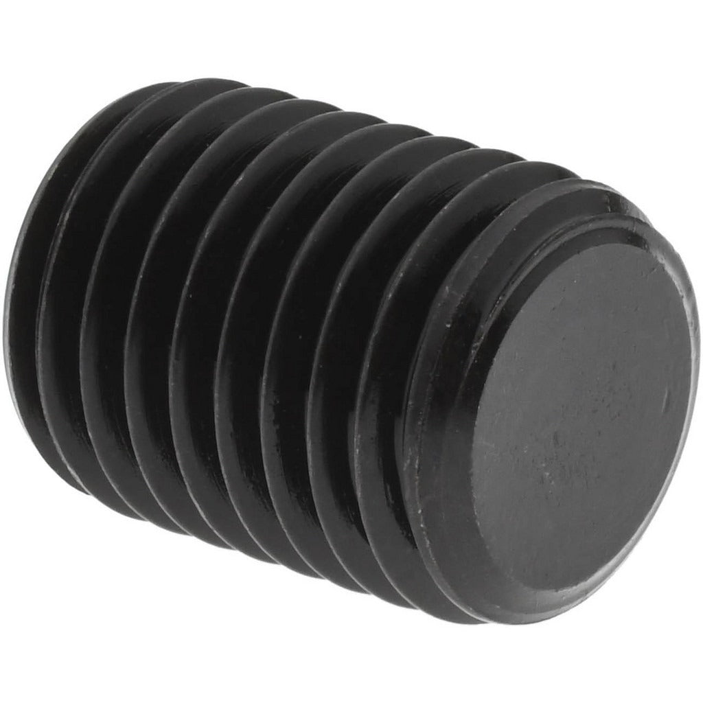VALUE COLLECTION Value Collection 832800PS M20 Set Screw Flat Point Alloy Steel