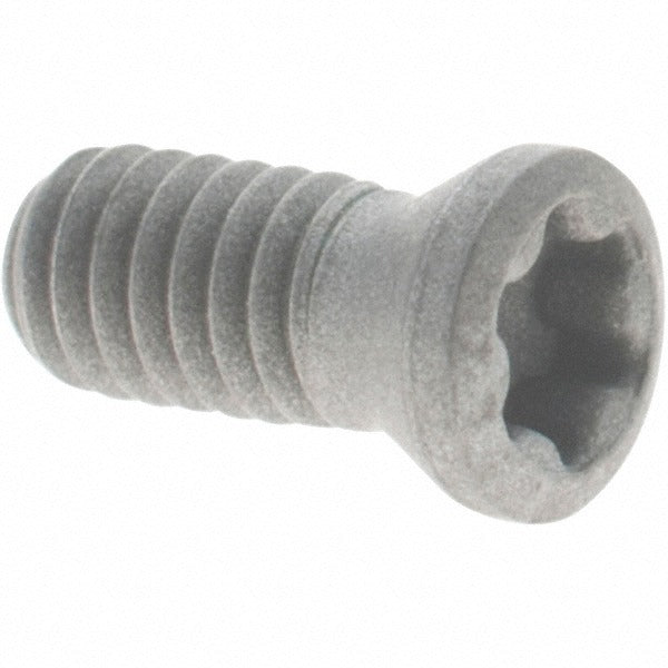 DORIAN TOOL Dorian Tool 73310190972 Torx Screw T8 Indexables