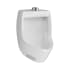 American Standard 6581001.02 Maybrook Urinal Wall Mount 0.125 gpf