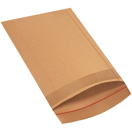 BSC PREFERRED Bsc Preferred B824 Kraft Fiberboard Mailer Case of 150