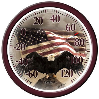 TAYLOR PRECISION PRODUCTS Taylor Precision Products 6773 Eagle Flag Dial Thermometer