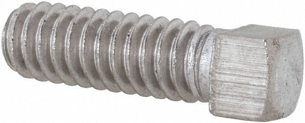 VALUE COLLECTION Value Collection R63006441 Set Screw 1/4-20 X 3/4 in Cup Point 18-8