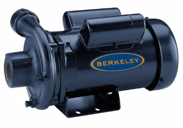 BERKELEY Berkeley S39538 Ac Straight Pump 2 Hp 230/460V 3 Phase