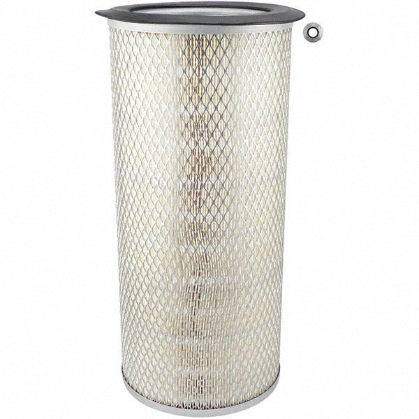 BALDWIN FILTERS Baldwin Filters PA2431 Automotive Air Filter