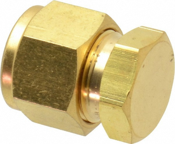 HAM-LET Ham-let 3100847 Compression Tube End Cap Brass