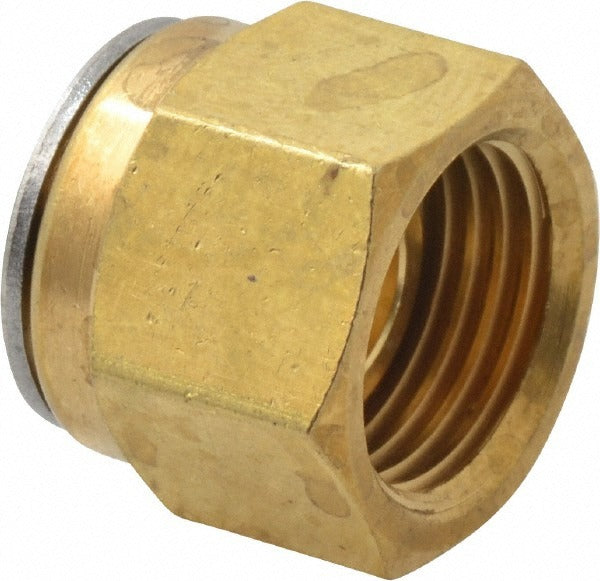 HAM-LET Ham-let 3101065 Compression Tube Plug Brass