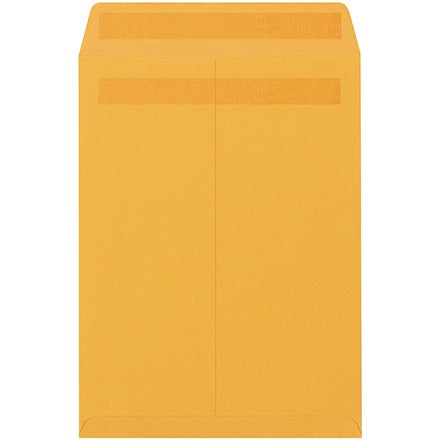 BSC PREFERRED Bsc Preferred EN1054 Redi-seal Envelopes 250 Count