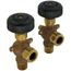 APOLLO VALVES APOLLOVALVESABWCON2025103 ABW-CON-2025103 Water Gauge Glass