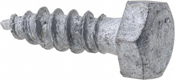 VALUE COLLECTION Value Collection HXLI20250100G-100BX Hex Lag Screw 100pk