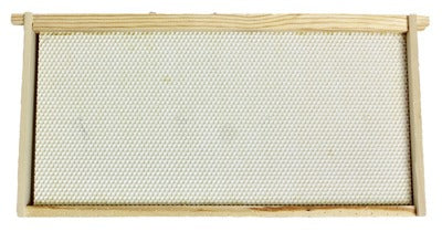 HARVEST LANE HONEY Harvest Lane Honey WWFFD-101 Deep Beehive Frame 10-pack
