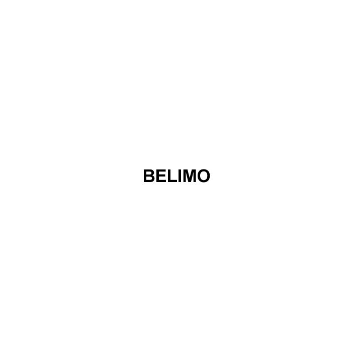 Belimo B307B+TFRB24 CCV Actuator 0.3 Cv Spring Return 24V