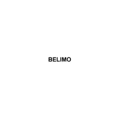Belimo B307B+TFRB24 CCV Actuator 0.3 Cv Spring Return 24V