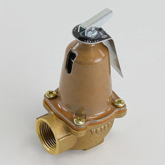 Bell & Gossett 110127 Safety Relief Valve 125 PSI Brass