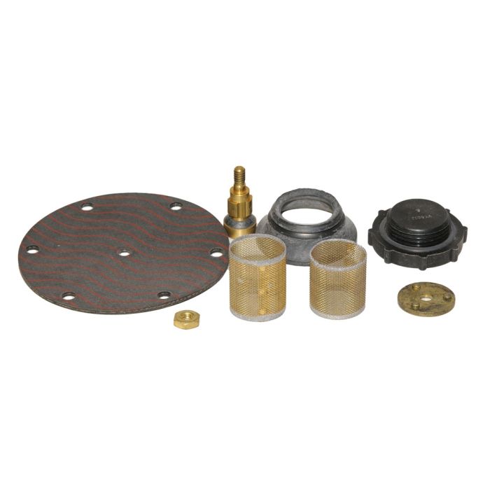 BELL & GOSSETT 118861 PRV Repair Kit