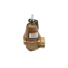 Bell & Gossett 110132 ASME Bronze Relief Valve 50 PSI