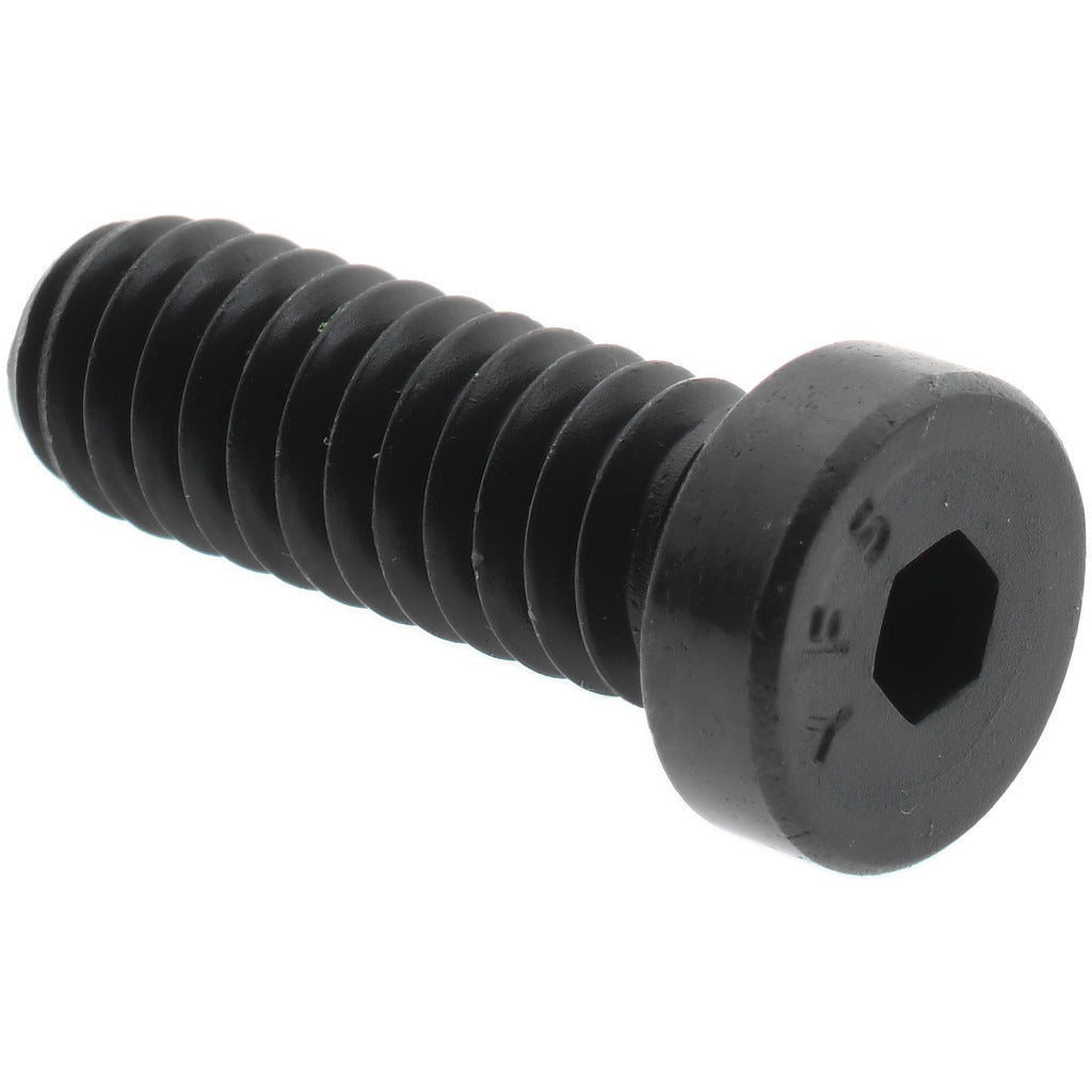 VALUE COLLECTION Value Collection 019149PR 1/4-20 X 3/4 in Hex Socket Cap Screw