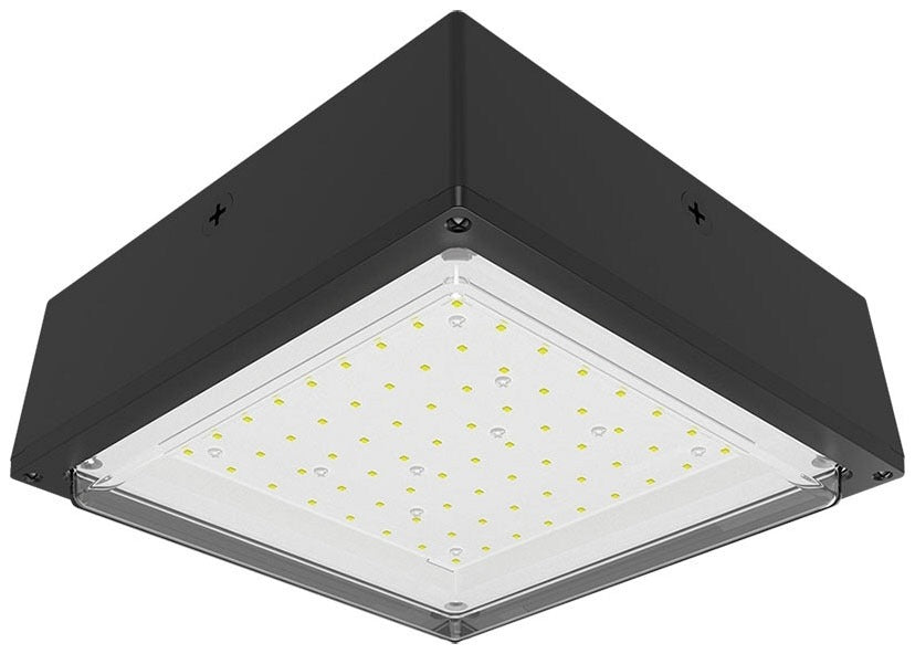 RAB LIGHTING Rab VANLED40 Vandal-Proof 40W (Canopy)