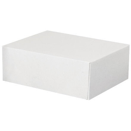 BSC PREFERRED Bsc Preferred RB1 Storage Carton 150 Per Case