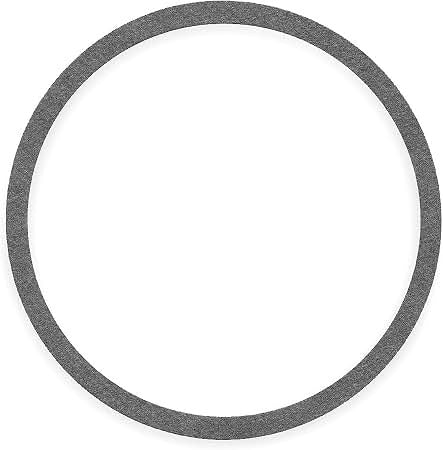 BELL AND GOSSETT Bell And Gossett P57410 Gasket for PD37 and Impeller 186863