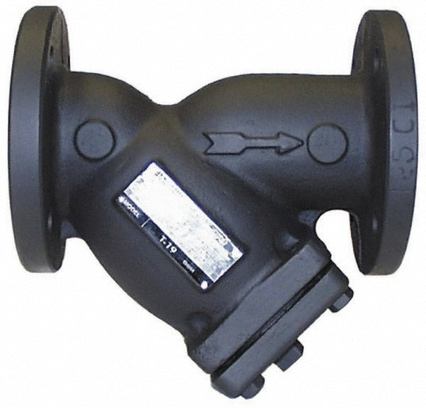 LEGEND VALVE Legend Valve 105-611 Cast Iron Y-strainer 2 in Flanged
