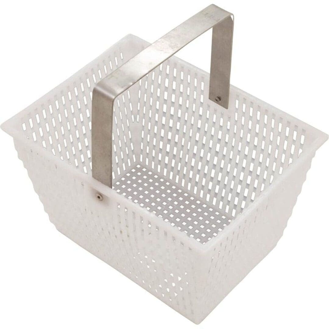 CLAYTON LAMBERT MFG Clayton Lambert Mfg P-287 Skimmer Basket Pool