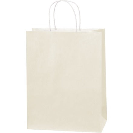 BSC PREFERRED Bsc Preferred BGS104FV Tinted Shopping Bag 250-count