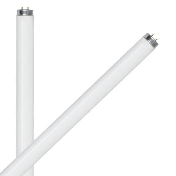 FEIT ELECTRIC Feit Electric F20T12/CW/2 T12 Fluorescent Tube 20 W (24 in / 2-Pack) Replacement F20T12