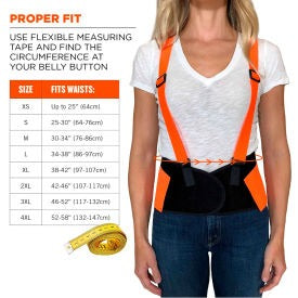 ERGODYNE Ergodyne 11886 Hi-vis Economy Back Support 2XL