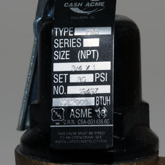 Cash Acme 19497-0030 F-95 Pressure Relief Valve 30 PSI 3/4 x 1