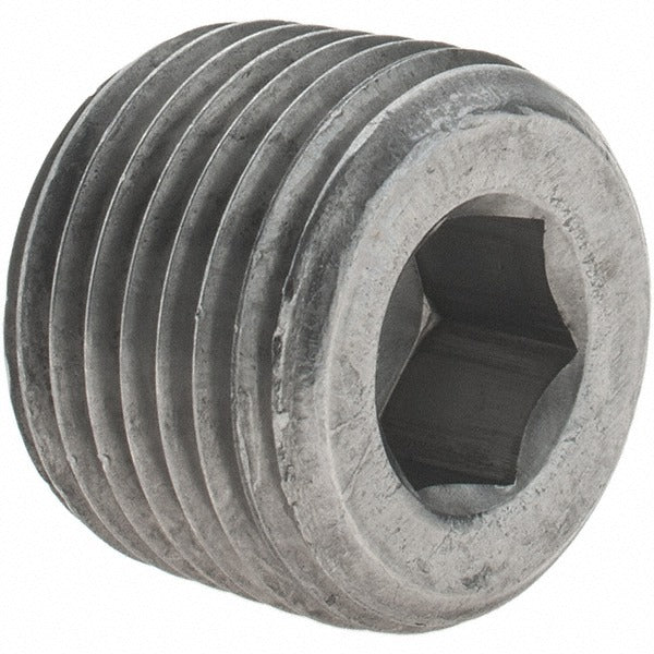 VALUE COLLECTION Value Collection 13382 Countersunk Hex Plug 1/2 in Malleable Iron