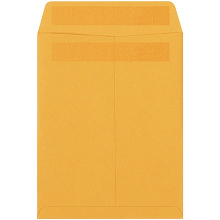 BSC PREFERRED Bsc Preferred EN1050 Self-seal Envelopes Case of 1000