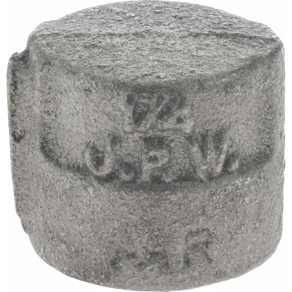 VALUE COLLECTION Value Collection B300 8 300 End Cap 1/4 in Threaded Class 300