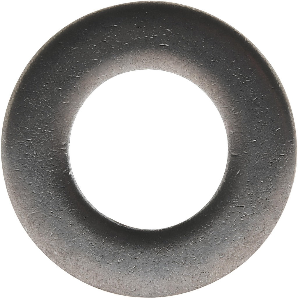 VALUE COLLECTION Value Collection 68025204-100 M10 Flat Washer 18-8 Ss Pack 100