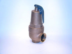 Apollo Valves 10-617-25 RVW61 Relief Valve 125 PSI 11792000BTU