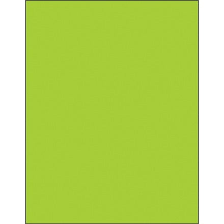BSC PREFERRED Bsc Preferred LL420GN Temporary Removable Labels 100 Per Case