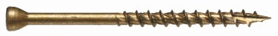 HILLMAN Hillman Fasteners 42501 Star Head Trim Screw 75 Pack