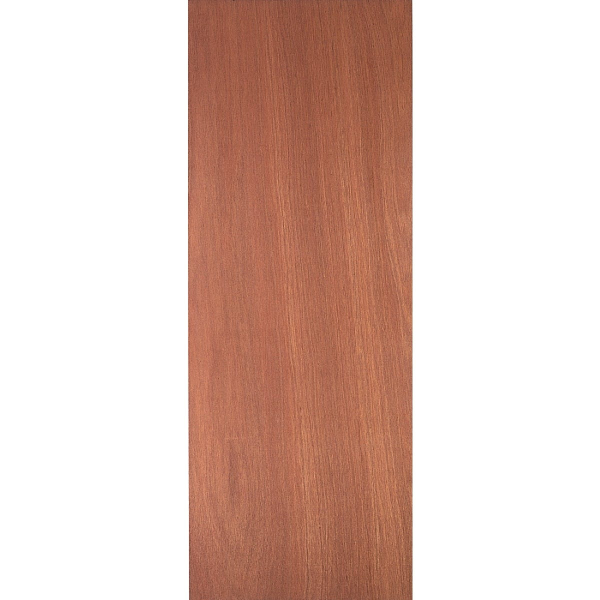 LAU Masonite 2/8 Lau Lauan Hollow Core Door Slab