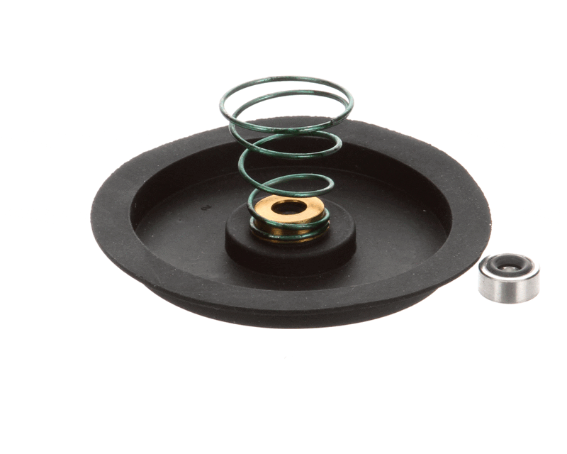 CHAMPION Champion 502730 Seal Kit with Spring Cg DF-M6