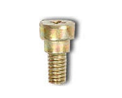 GENERAL ELECTRIC General Electric WR02X12255 Refrigerator Mounting Screw (OEM11987757)