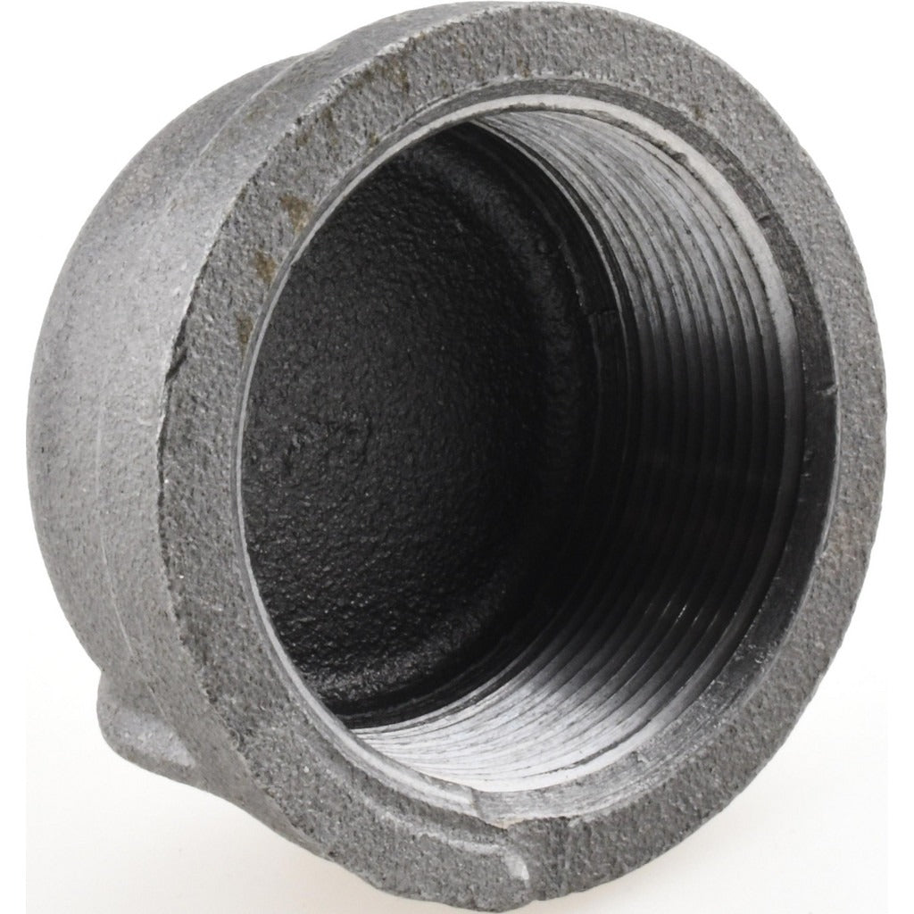 VALUE COLLECTION Value Collection MDB300 50-5 Threaded Black End Cap 2 in