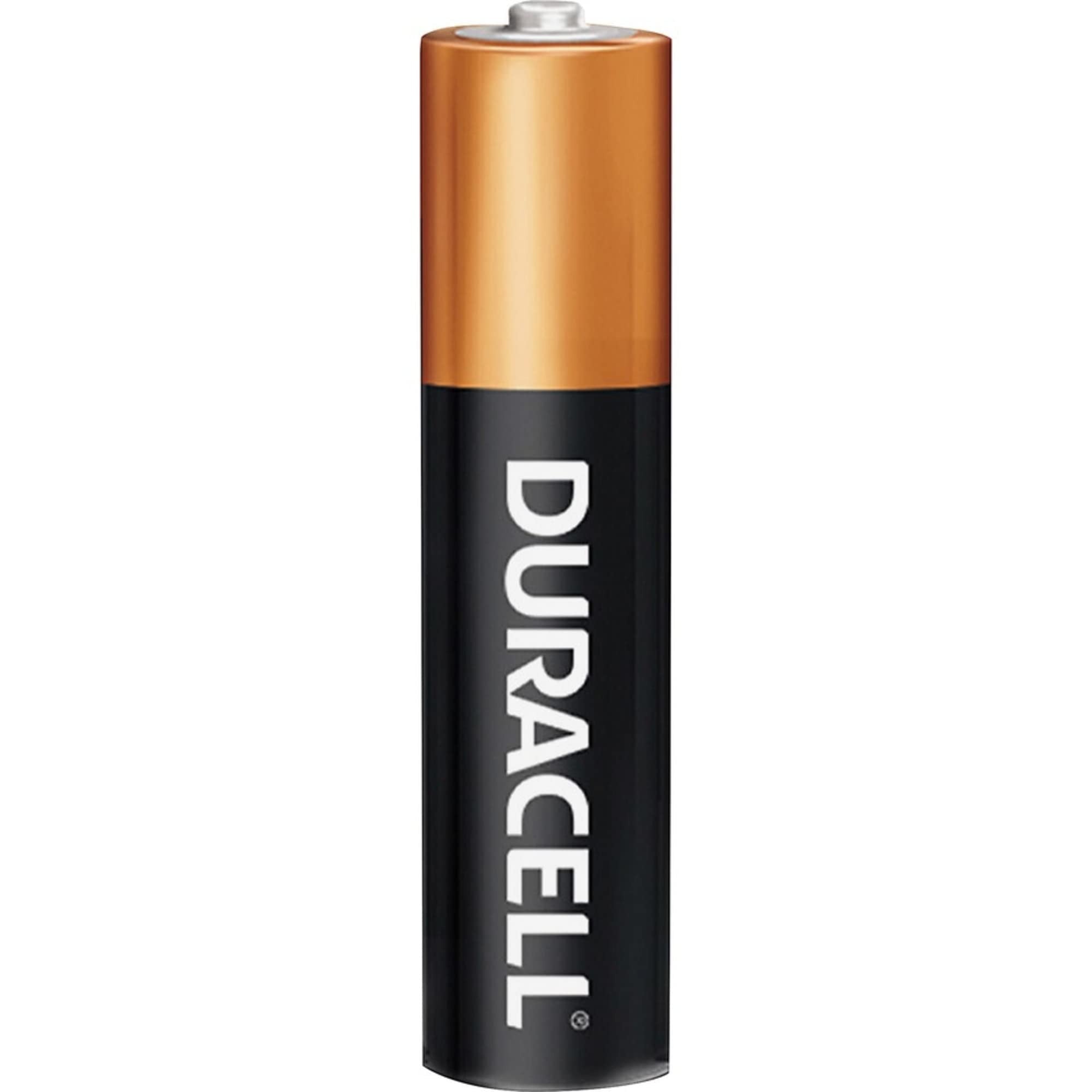 DURACELL Duracell MN2400B16Z Coppertop Alkaline AAA Batteries 1.5V (16 Pack) 4330209519