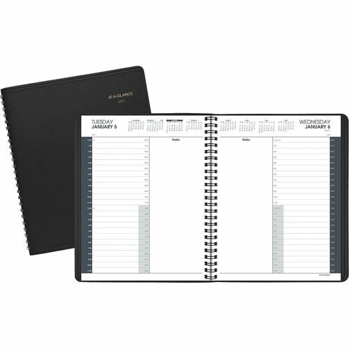 AT-A-GLANCE At-a-glance AAG7021405 Daily Appointment Book 8.5x11