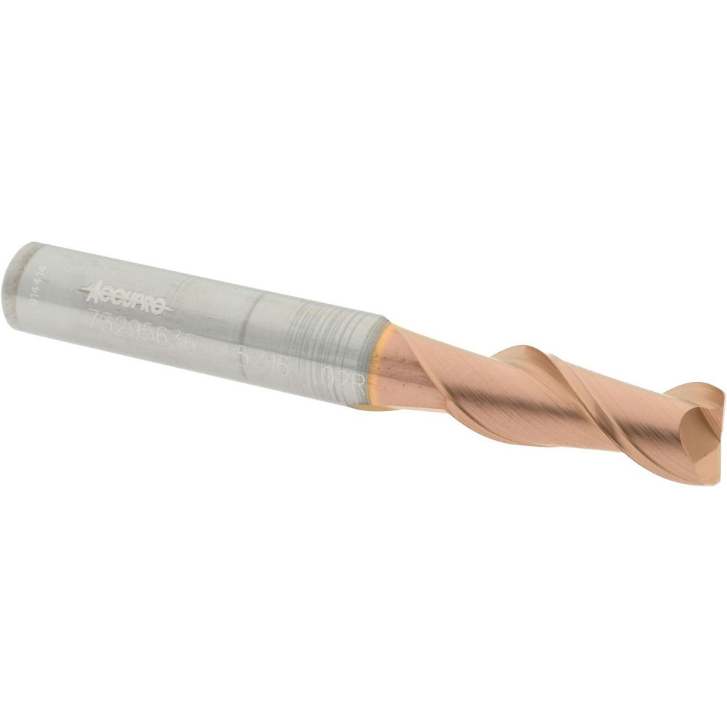 ACCUPRO Accupro 12181376 Corner Radius End Mill 5/16 in 2 Flute Ticn