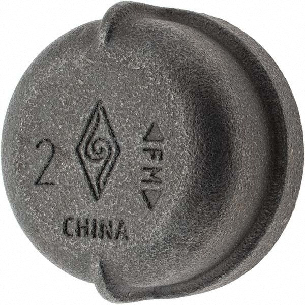 VALUE COLLECTION Value Collection B-CAP20 Malleable Iron End Cap 2 in