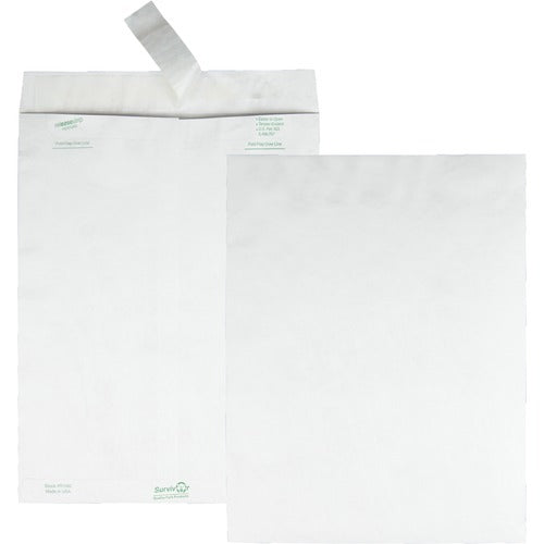 QUALITY PARK Quality Park QUAR1580 Tyvek Envelope 10x13 Box 100