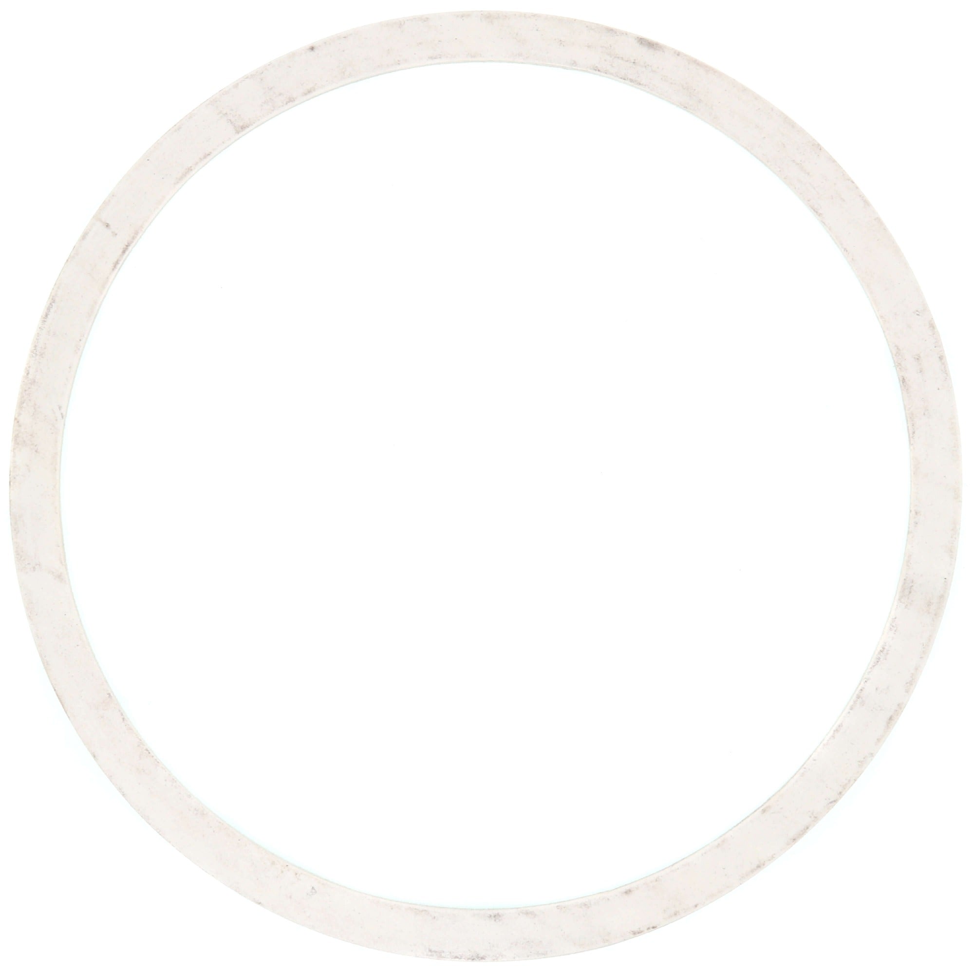 ARMSTRONG PUMPS Armstrong Pumps 426401-002 Casing Gasket 1 Pack