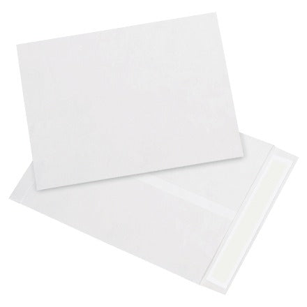 BSC PREFERRED Bsc Preferred TYF0912WH Tyvek Envelopes 100 Per Case