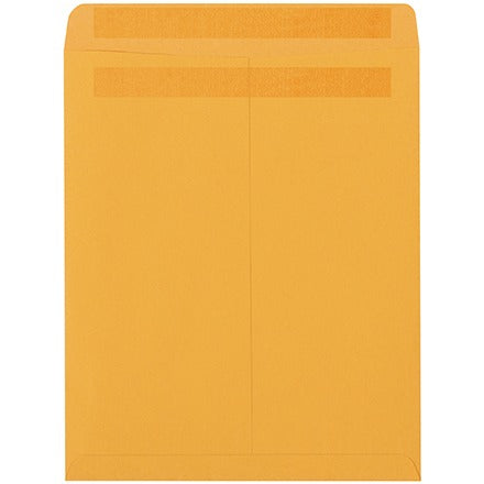 BSC PREFERRED Bsc Preferred EN1044 Redi-seal Envelopes 500 Per Case