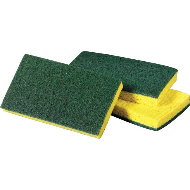 3M 3M MMM74CC Medium-Duty Scrubbing Sponge 3-1/2 x 6-1/4 (10 Pack) 74CC